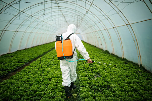 Best Mosquito Control Services  in Casa Blanca, AZ
