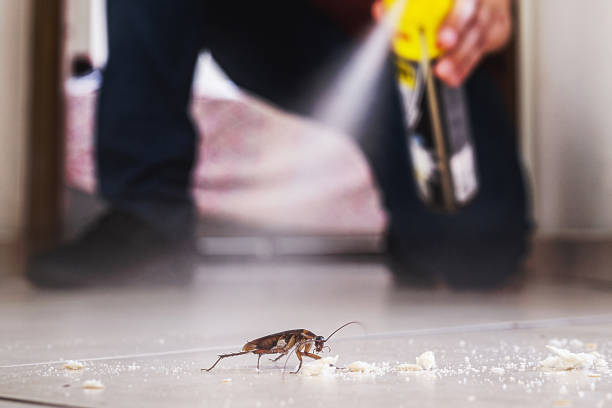 Trusted Casa Blanca, AZ Pest Control Experts