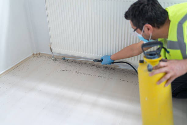 Best Pest Control Cost  in Casa Blanca, AZ