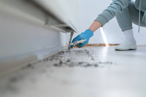 Best Commercial Pest Control Services  in Casa Blanca, AZ