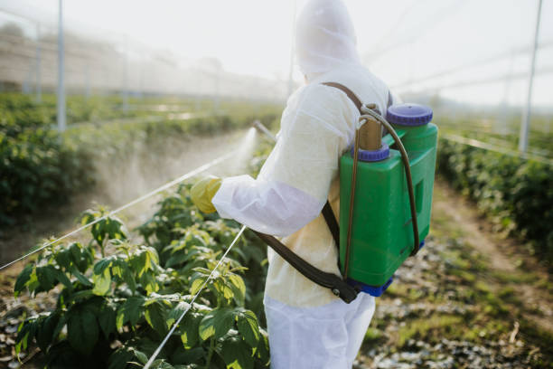 Best Affordable Pest Control Services  in Casa Blanca, AZ